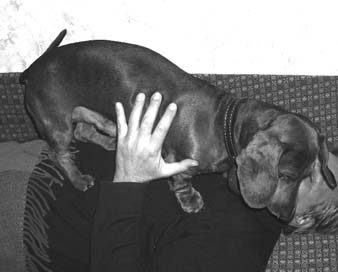 иллюстрация 1