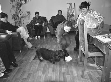 иллюстрация 2