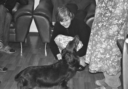 иллюстрация 4