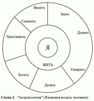 Схема 2. Антропология